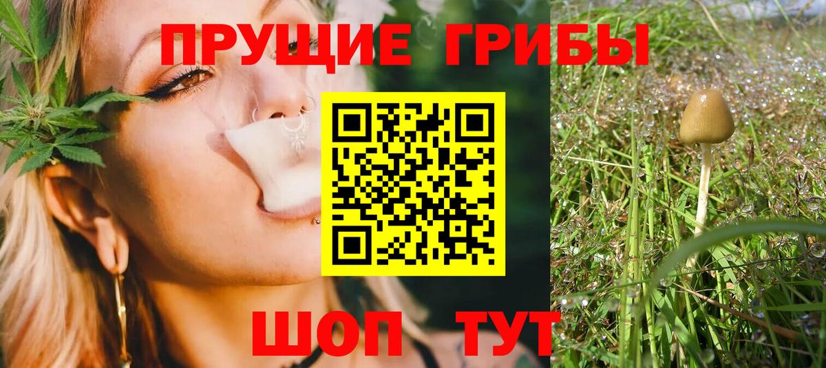 Саяногорск  наркошоп  Вход с VPN  Псилоцибиновые грибы MAGIC MUSHROOMS 